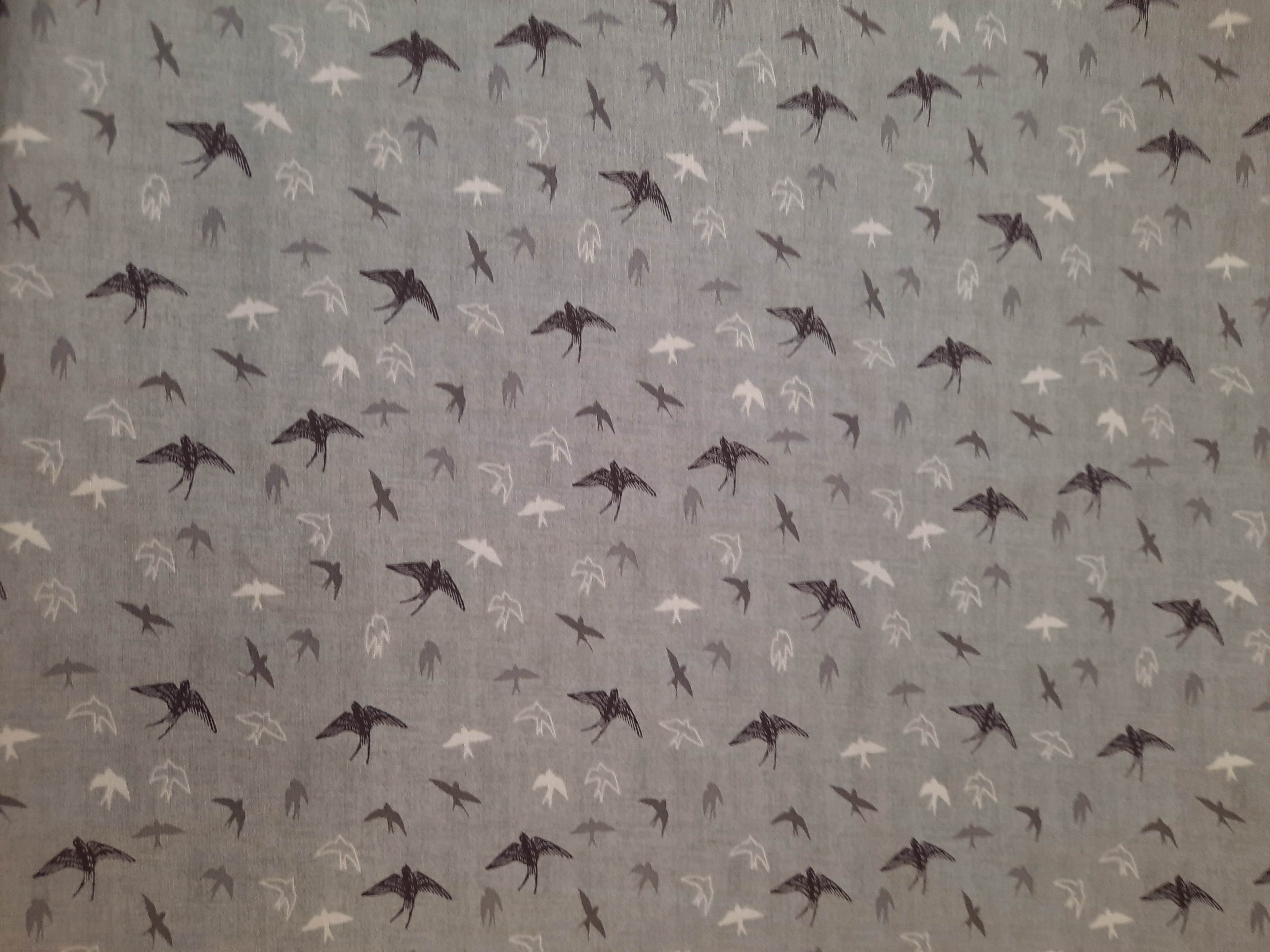 Hedgerow 2421