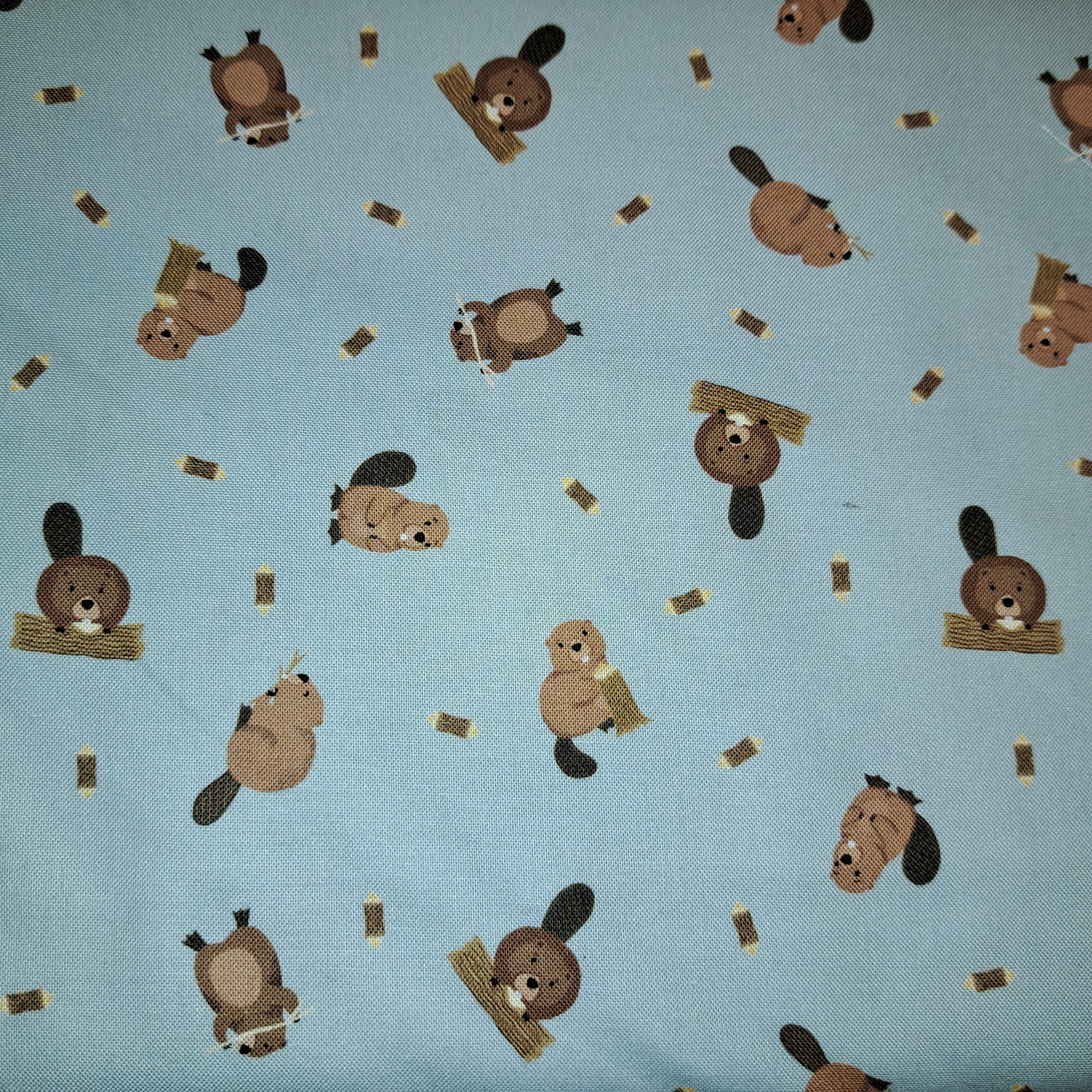 Small things -Beavers