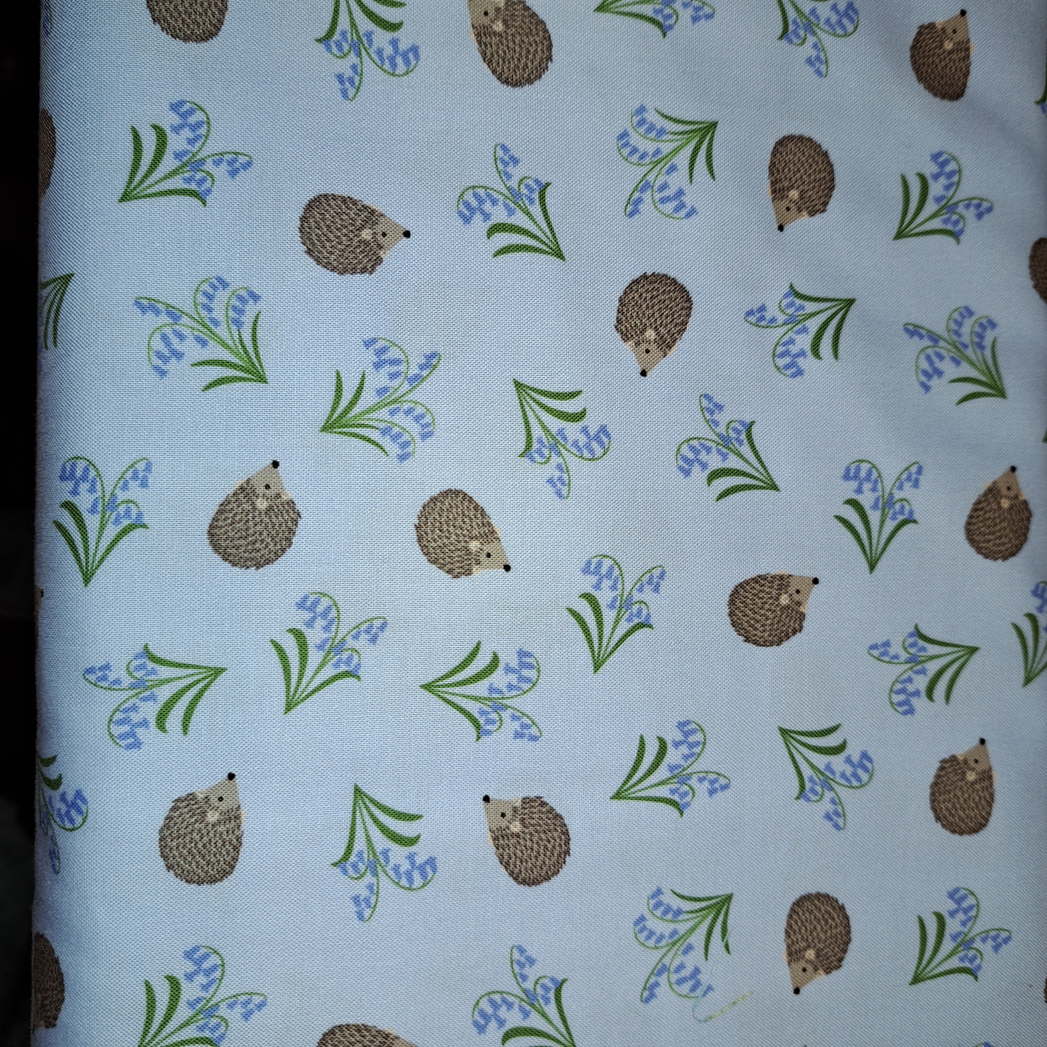 Small Things- Hedgehogs