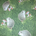 Nature Trail - Hedgehogs