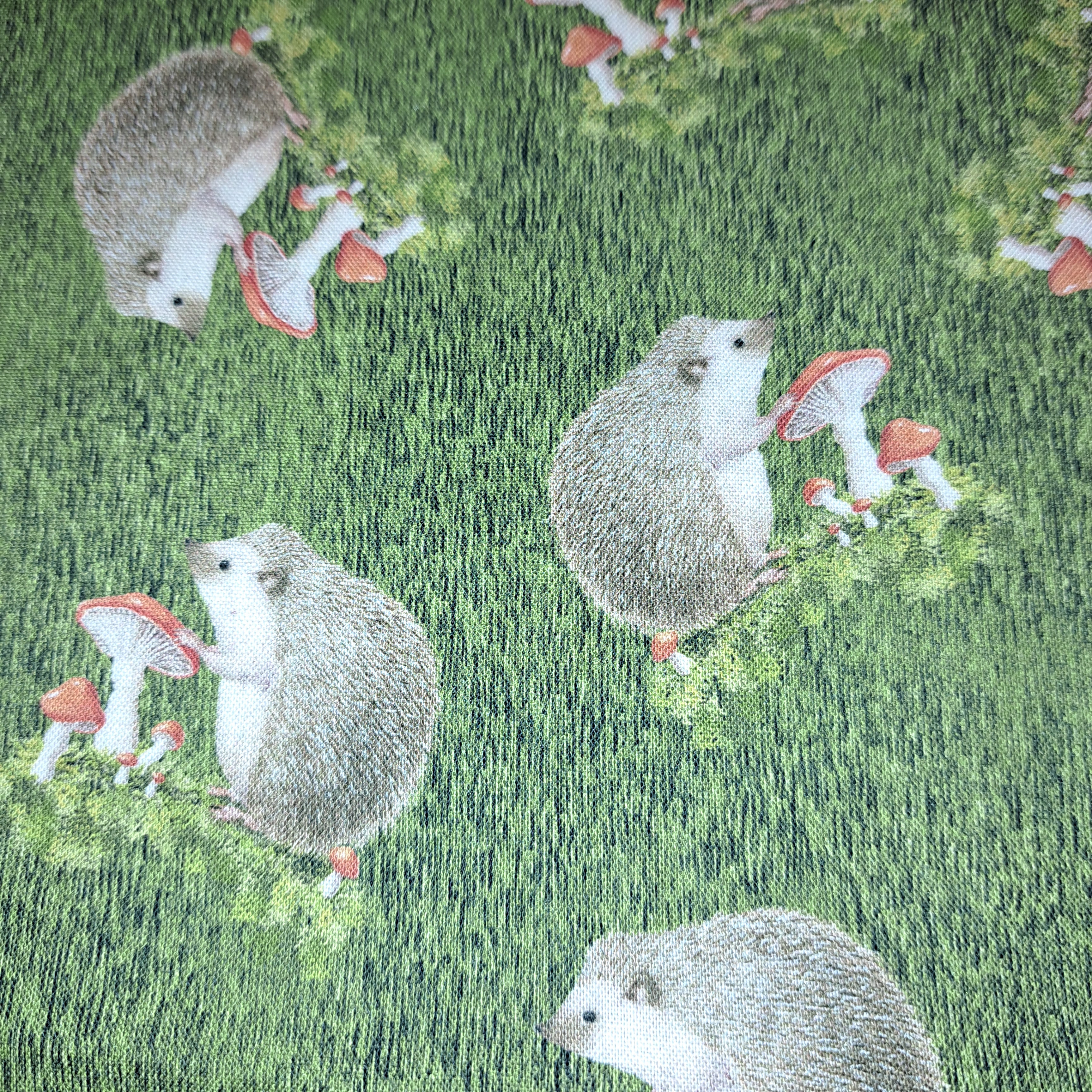 Nature Trail - Hedgehogs