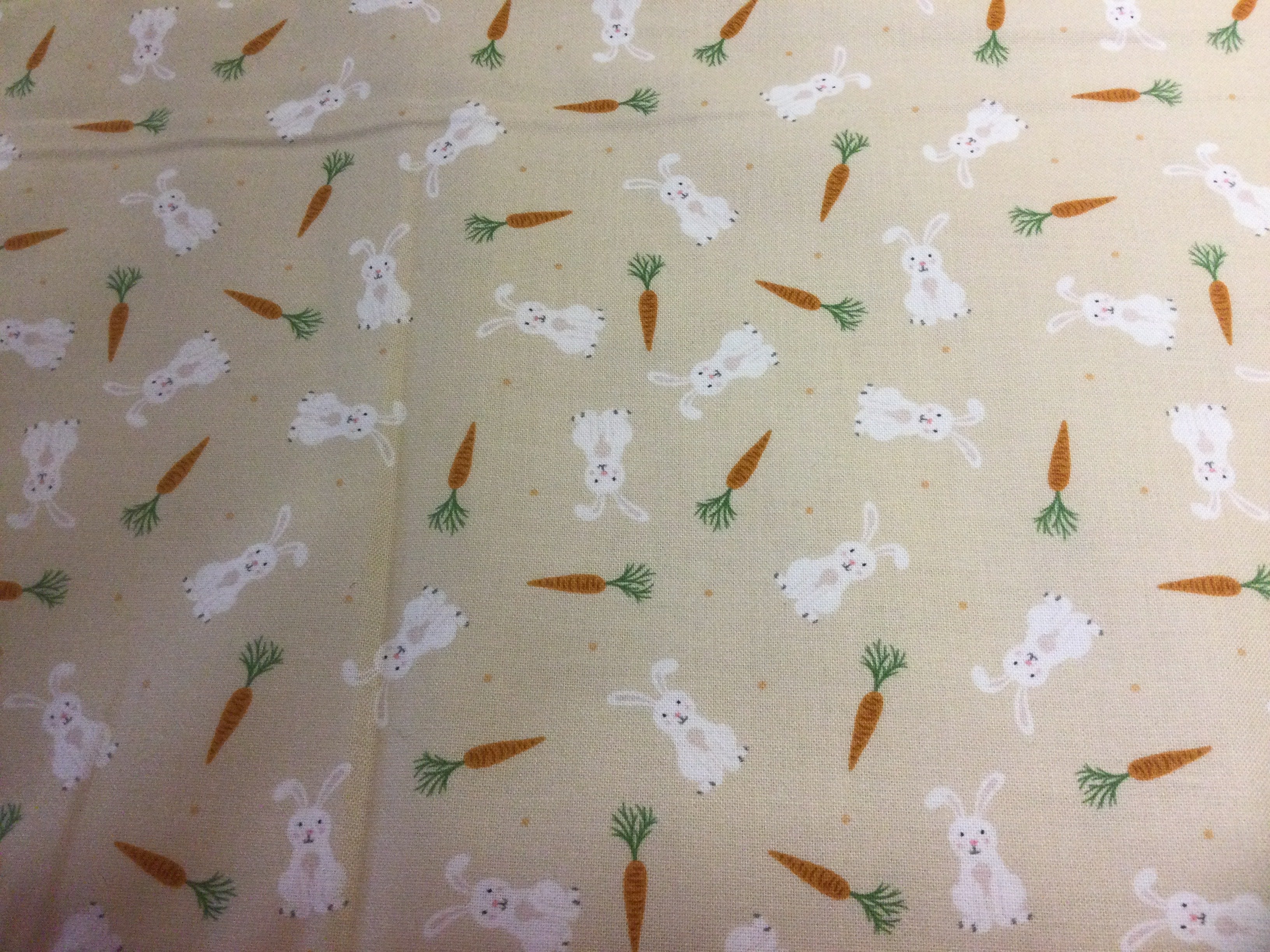 Small things :Bunnies