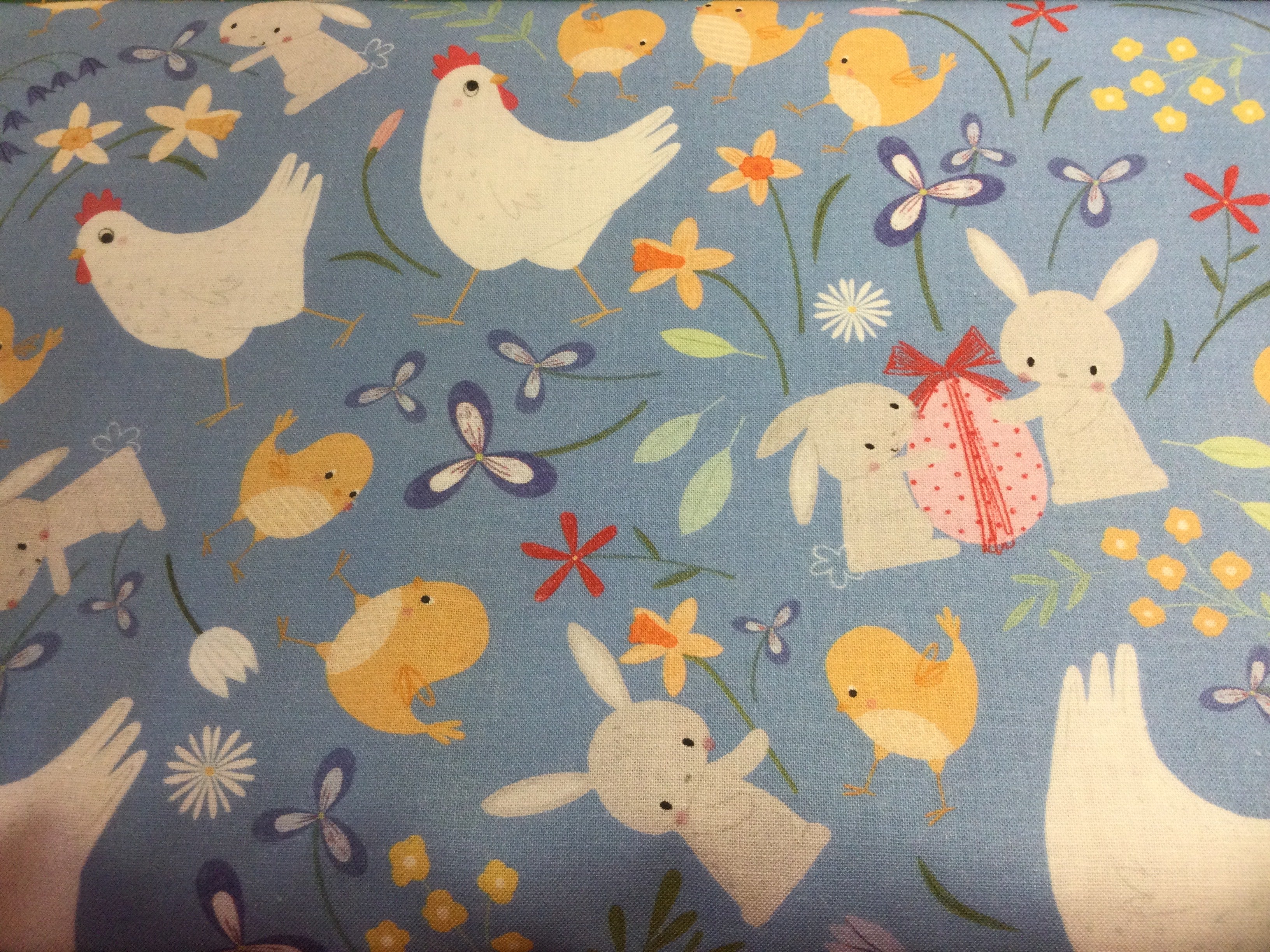 Sweet Spring : Animals