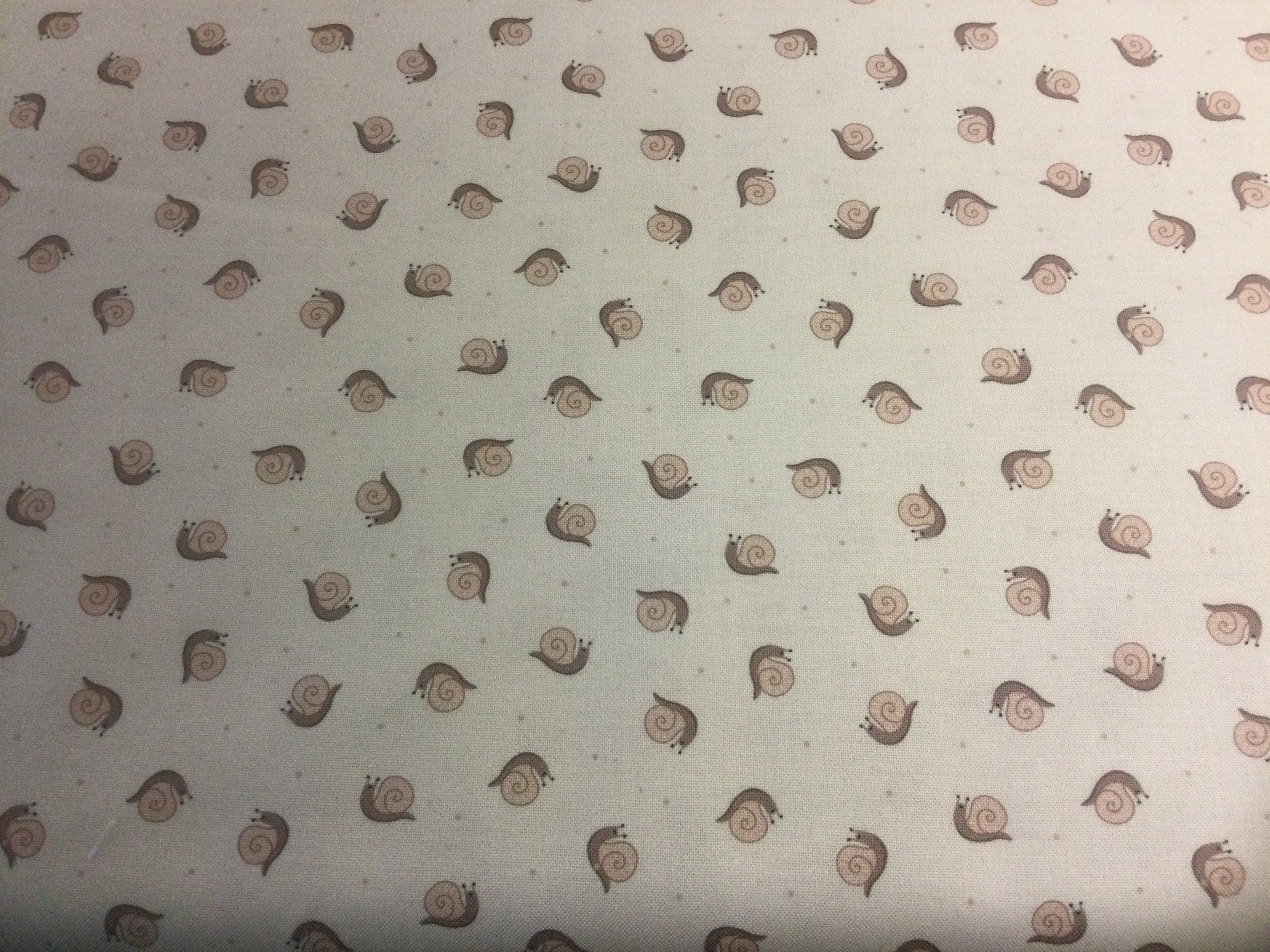 small things: snails