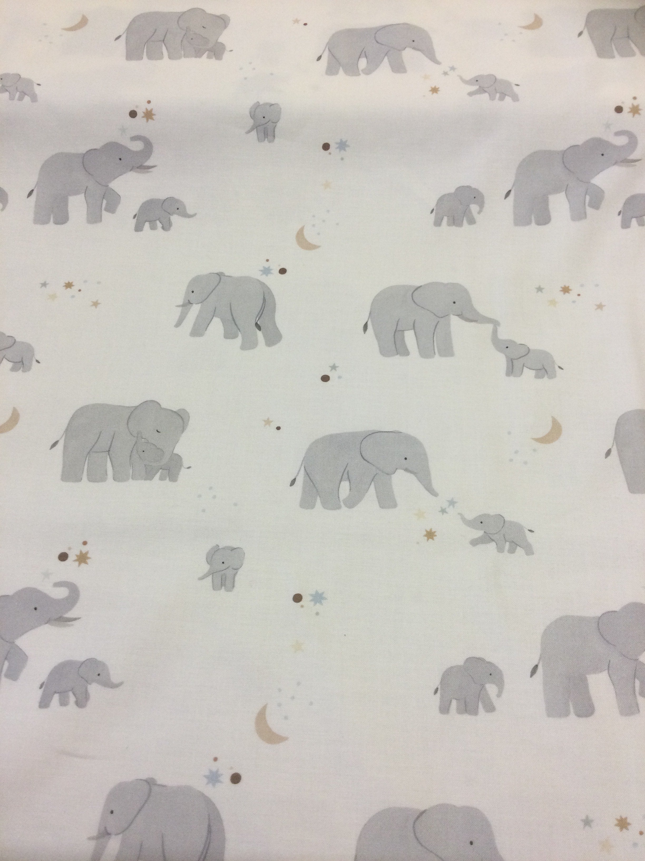 To the Moon and back- White ellephants