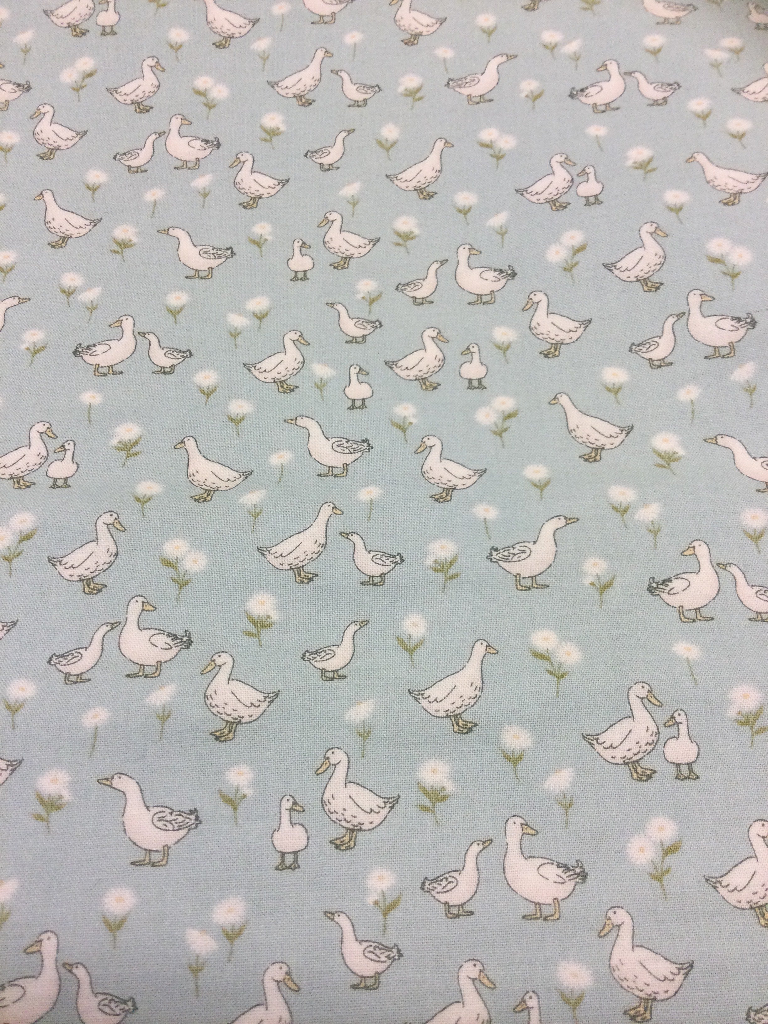 Little Ones- Ducks on blue