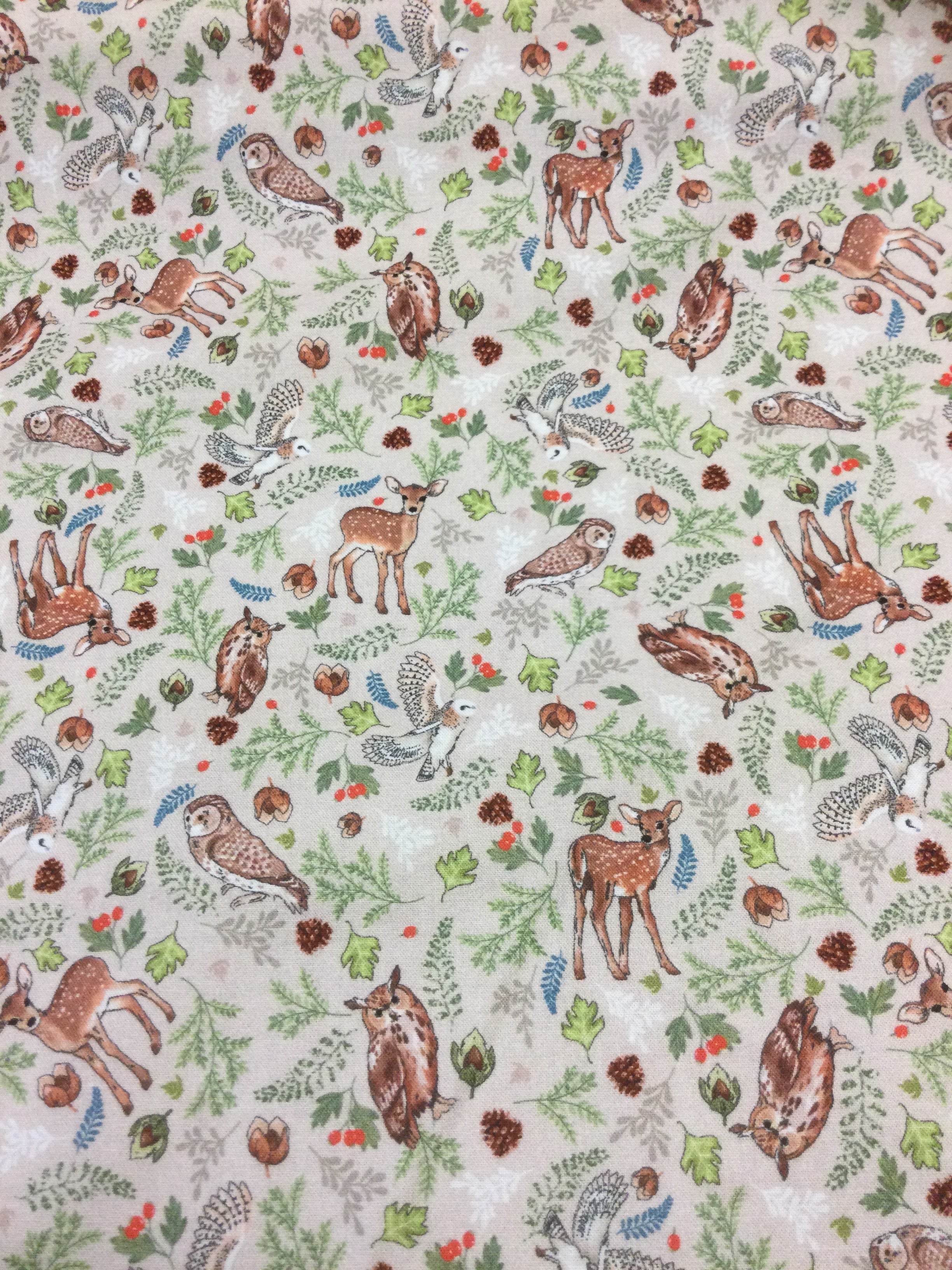 Forest Wonder - Deer/Owl