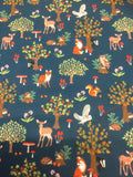 Forest Wonder:Forest Scene