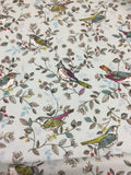 Blue Birds "Springtime"