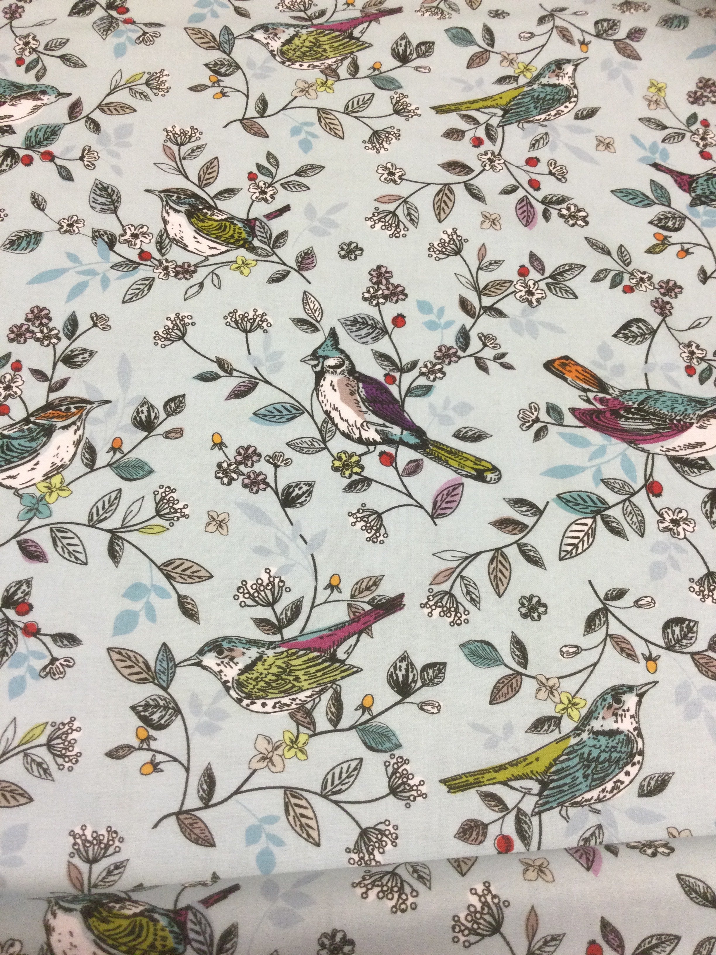 Blue Birds "Springtime"