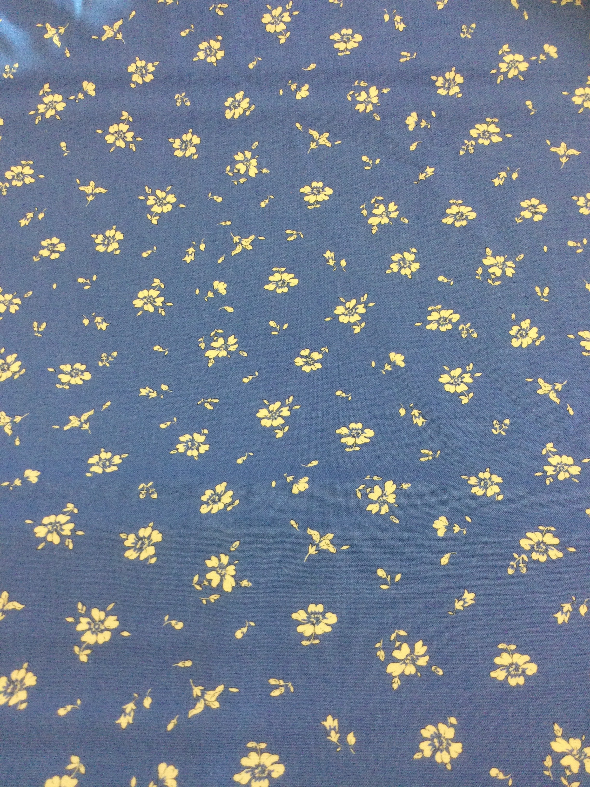 Flower Show Sunrise- Field Rose