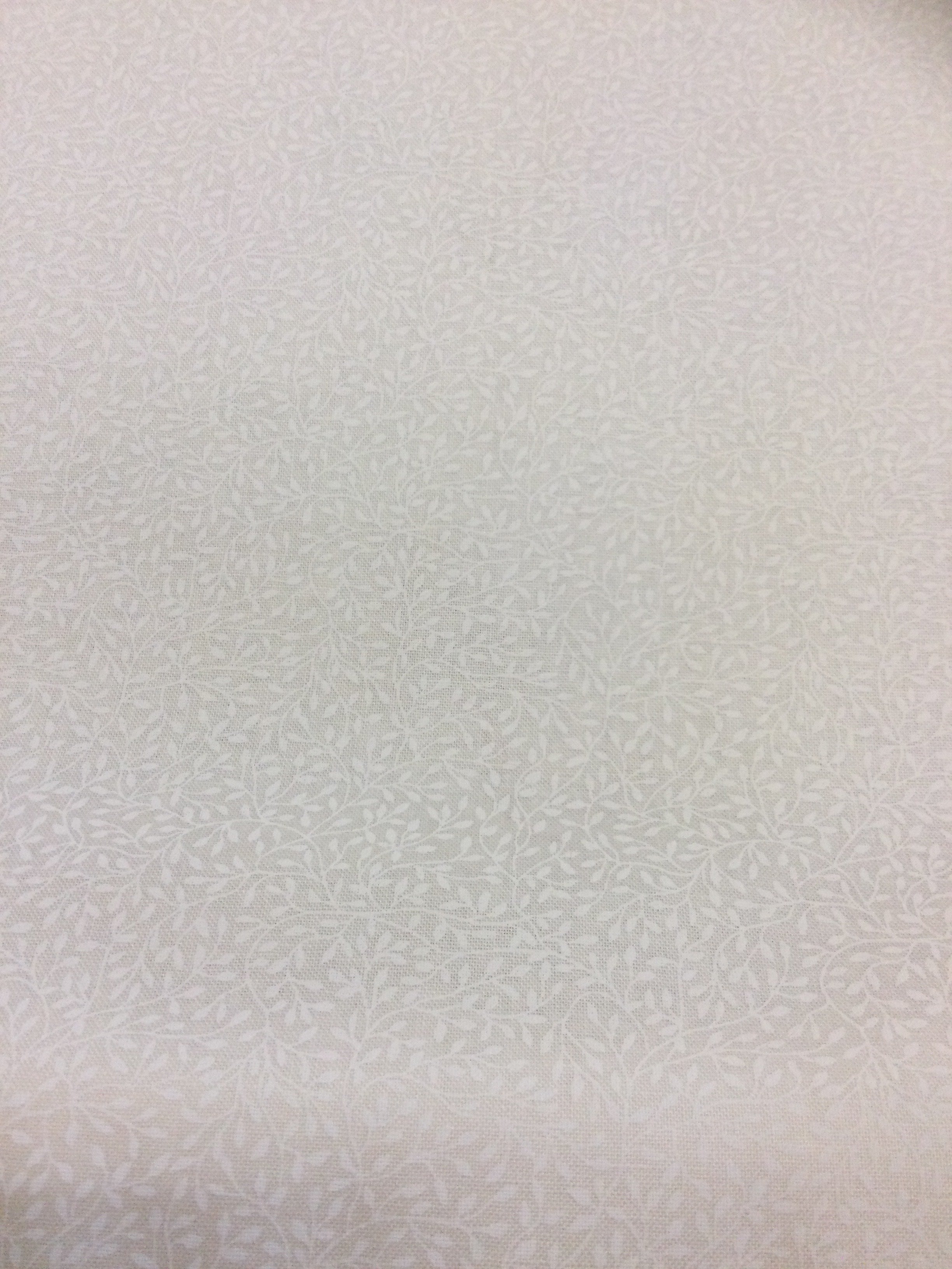 Cream on Cream - D764