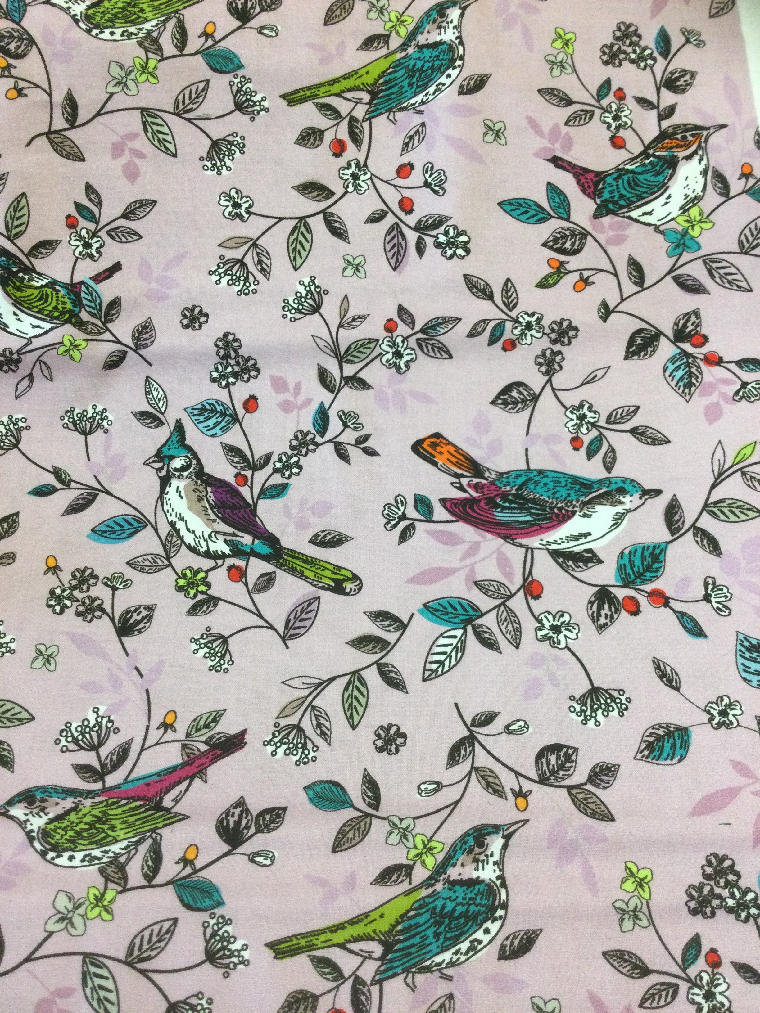 Pink Birds "Springtime"