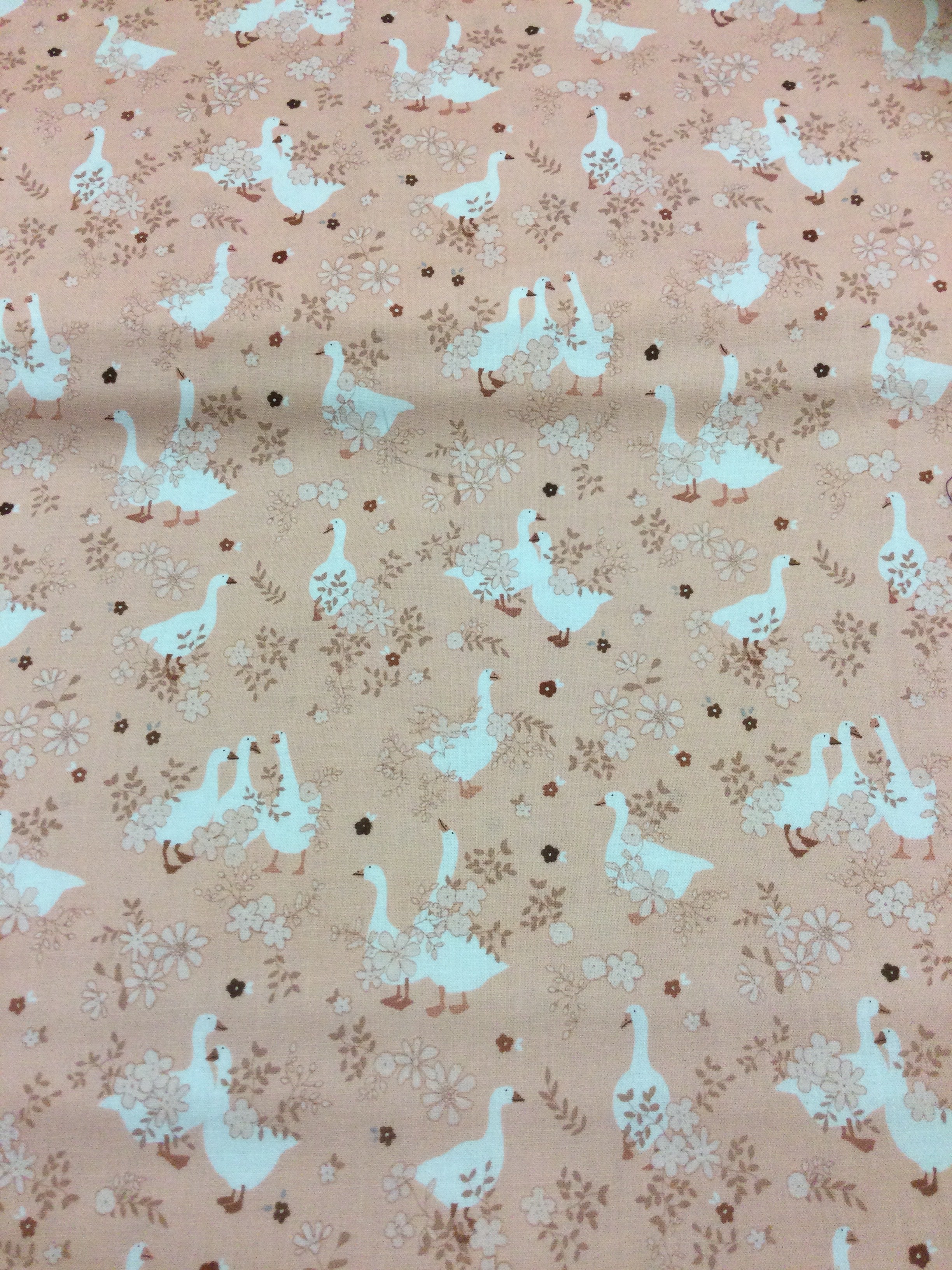 Wildflowers Bloom & Grow- Geese