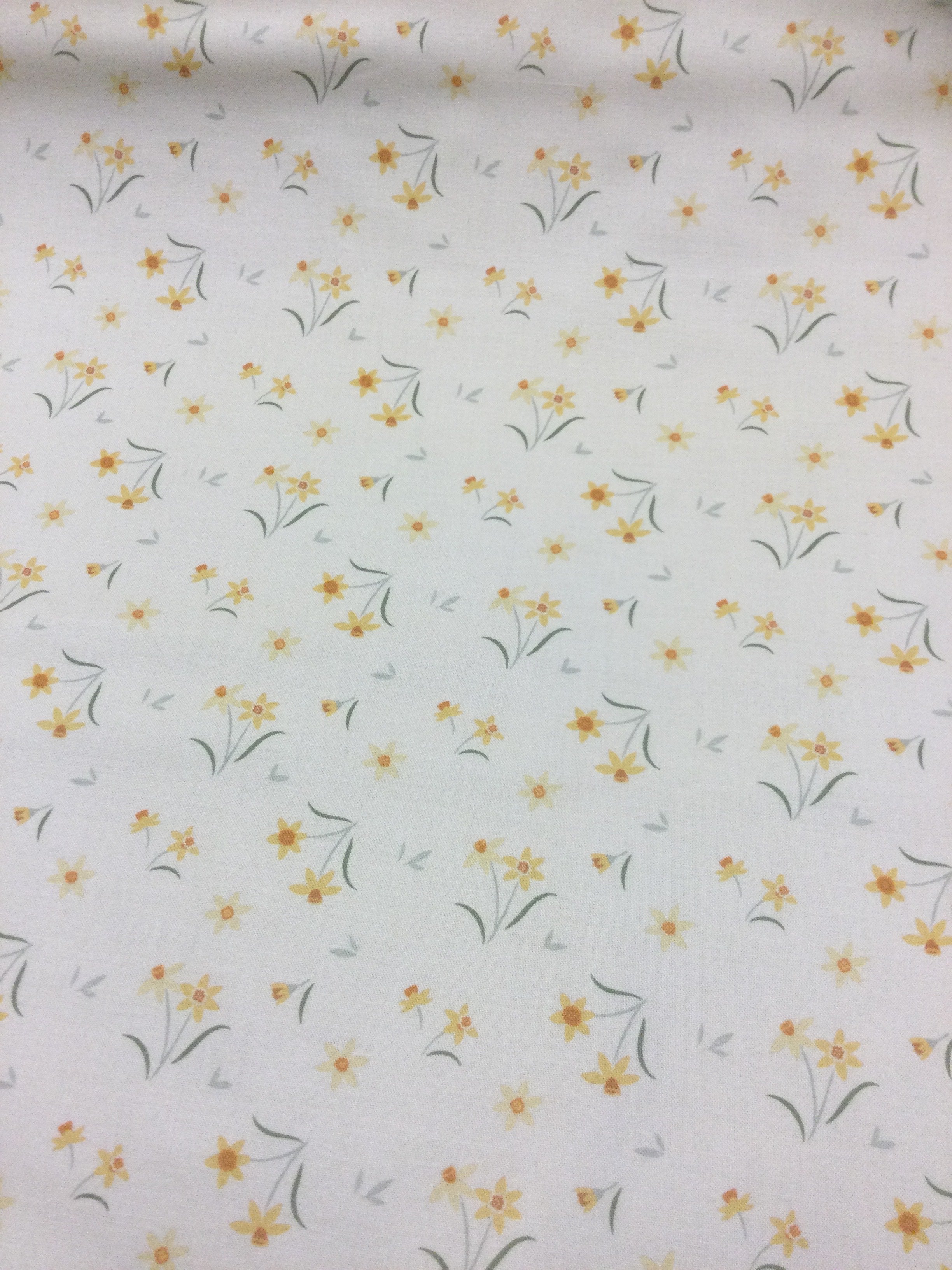 Joys of Spring- Daffodils