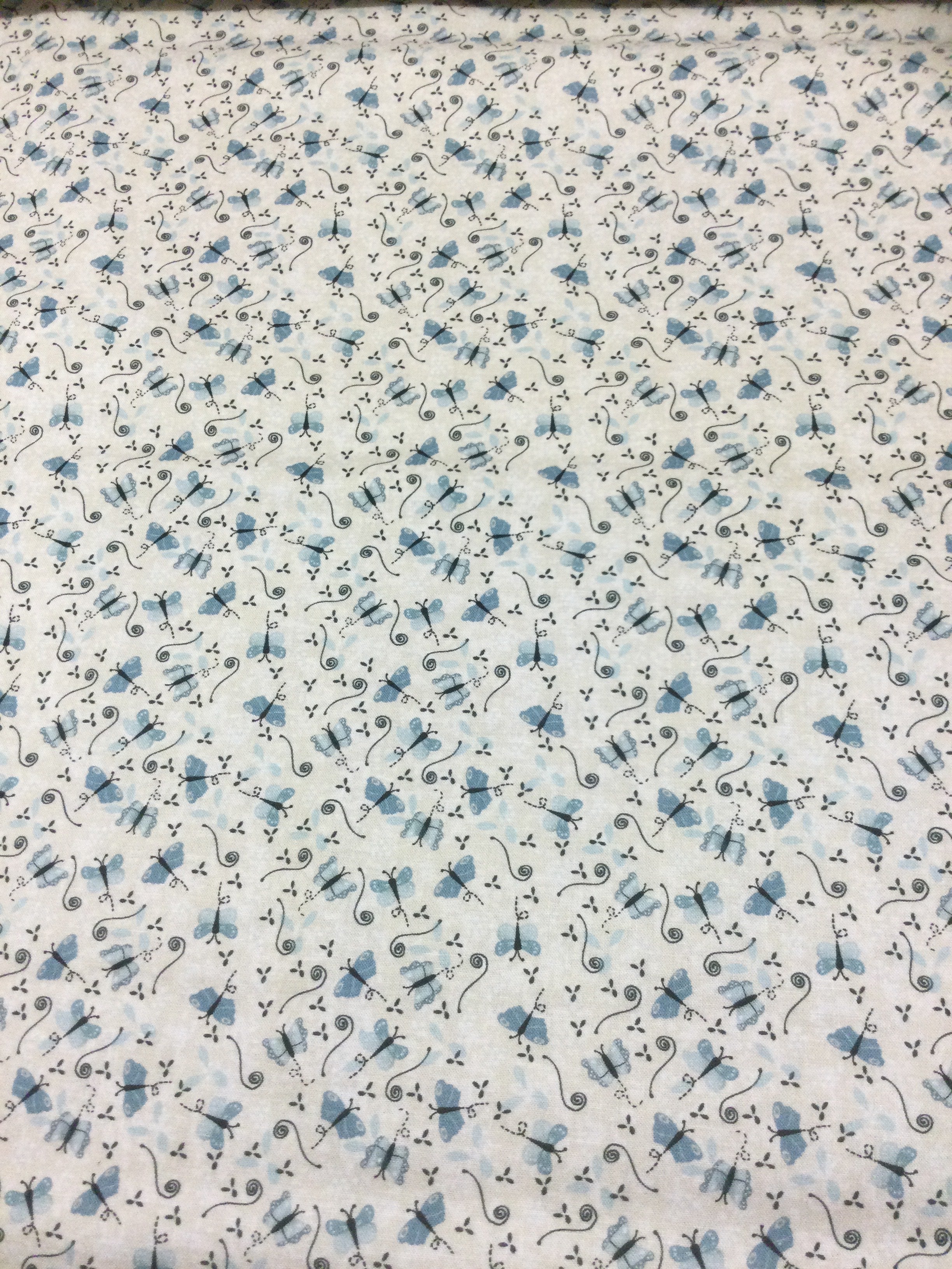 Something Borrowed, Something Blue- Cream Butterflies