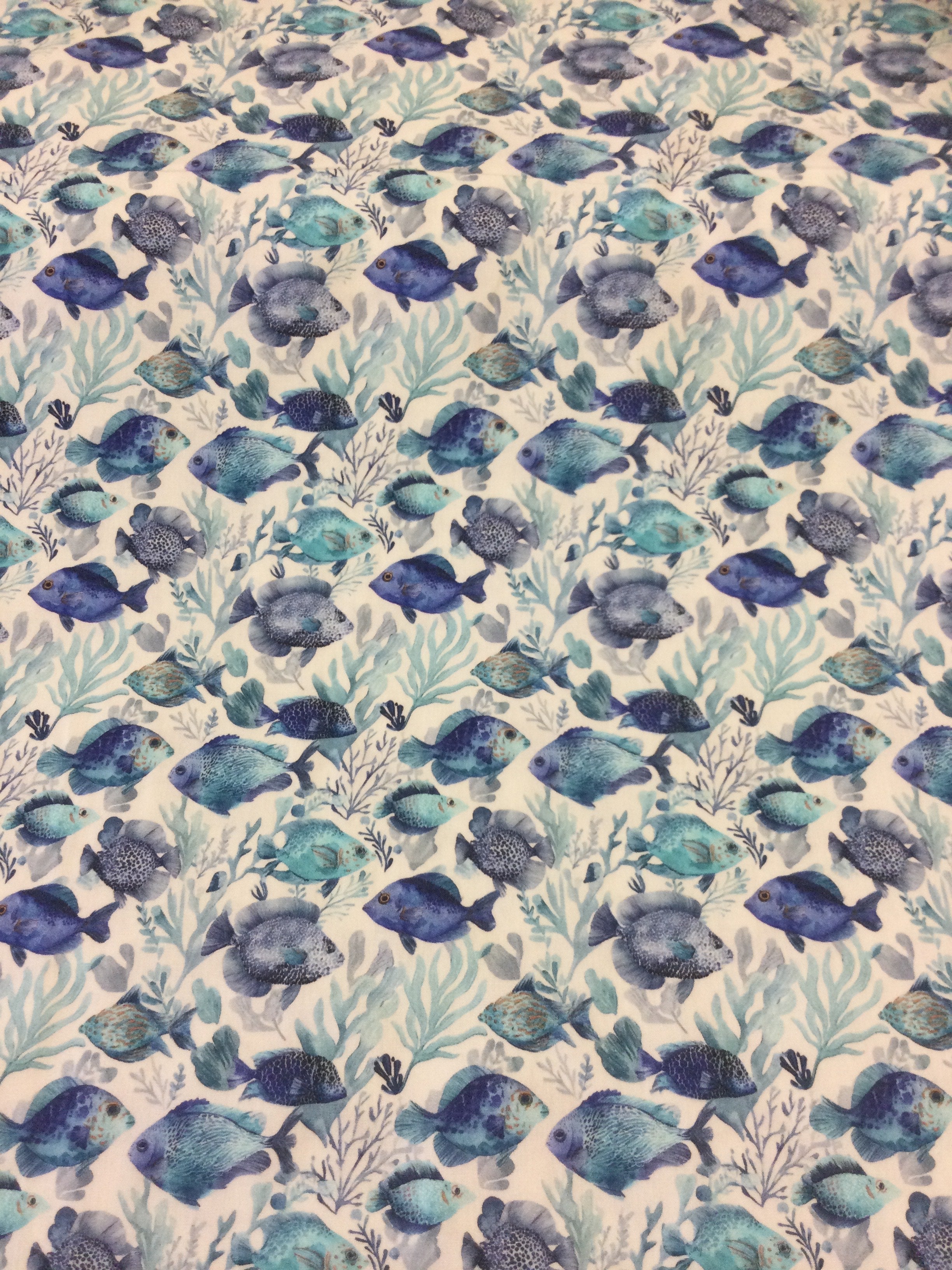 Blue Fishies