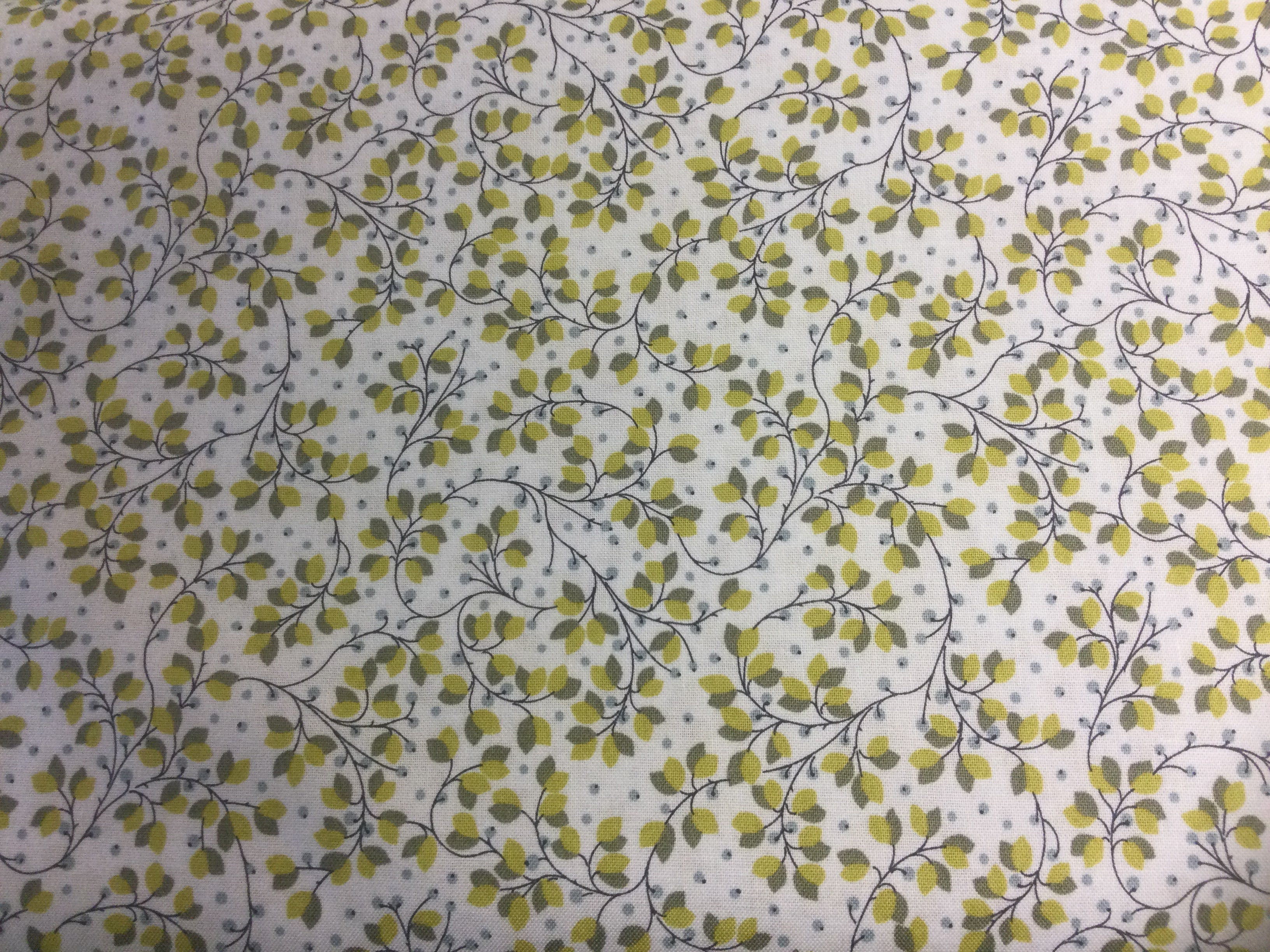 Wild Blueberries